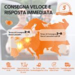 LiTime 12V 100Ah – Batteria LiFePO4 per accumulo solare – immagine 8