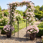 Costway Arco da giardino in metallo con porte e fioriere, Traliccio pergolato decorativo per piante rampicanti vite e rose - immagine 4