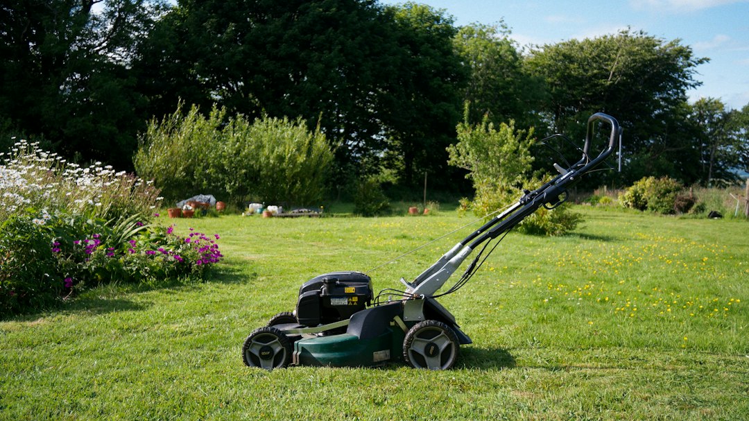 Robot tagliaerba e cura del giardino &mdash; immagine illustrativa