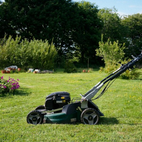 Robot tagliaerba e cura del giardino — immagine illustrativa