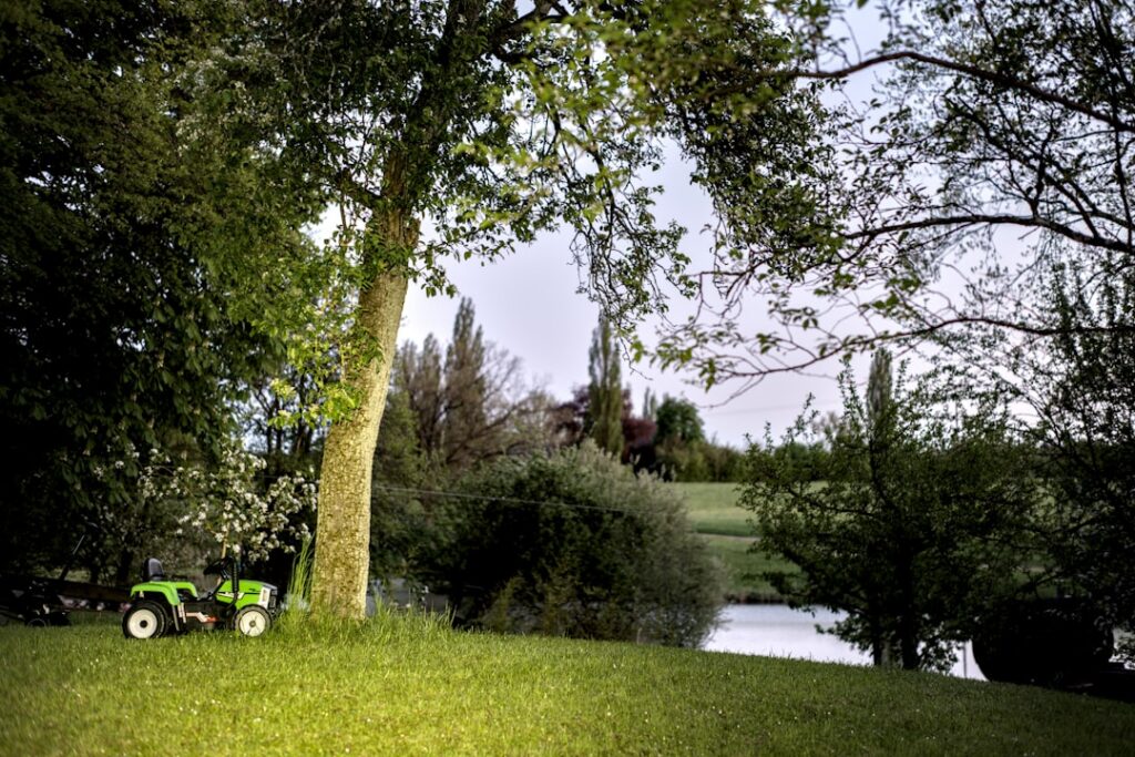 Robot tagliaerba e cura del giardino — immagine illustrativa
