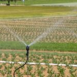 Irrigazione intelligente — giardino 1