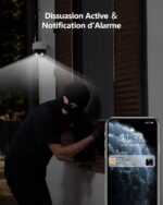 Cruiser SE+ 3MP/5MP — immagine ufficiale