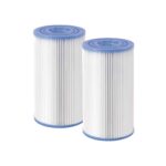 INTEX - Cartuccia Filtro PureSpa Modello S2 - set 2 pezzi