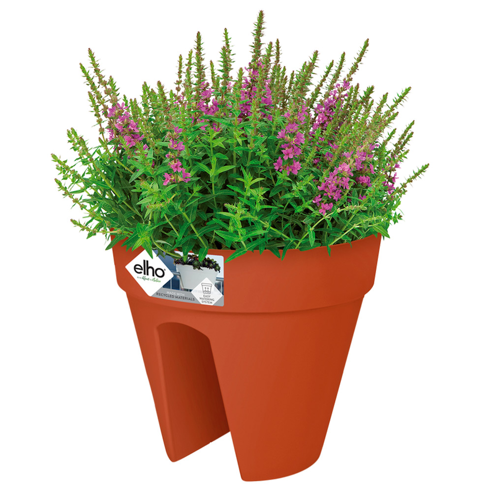 0fbdd681d5f002f88ed472208a2ae43b_a-de-193639g-1-1.jpg Vaso da fiori in terracotta 28,5x25,5 cm - immagine 1