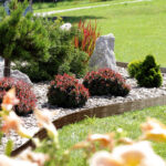 Bordo per prato - immagine 3