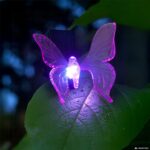DICTROLUX - Lampada Solare LED a Farfalla con Clip Luce Naturale - immagine 2