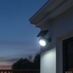 DICTROLUX - Faretto Solare Led da giardino Luce Fredda 5W con Sensore di Movimento - immagine 2
