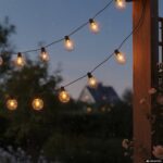 DICTROLUX - Catena Luminosa Solare 20 Lampadine LED Luce Calda da Esterno - immagine 2