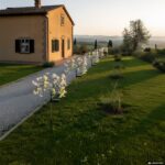 DICTROLUX - Lampada Solare LED Multicolor Decorativa Fiori h74 cm - immagine 2