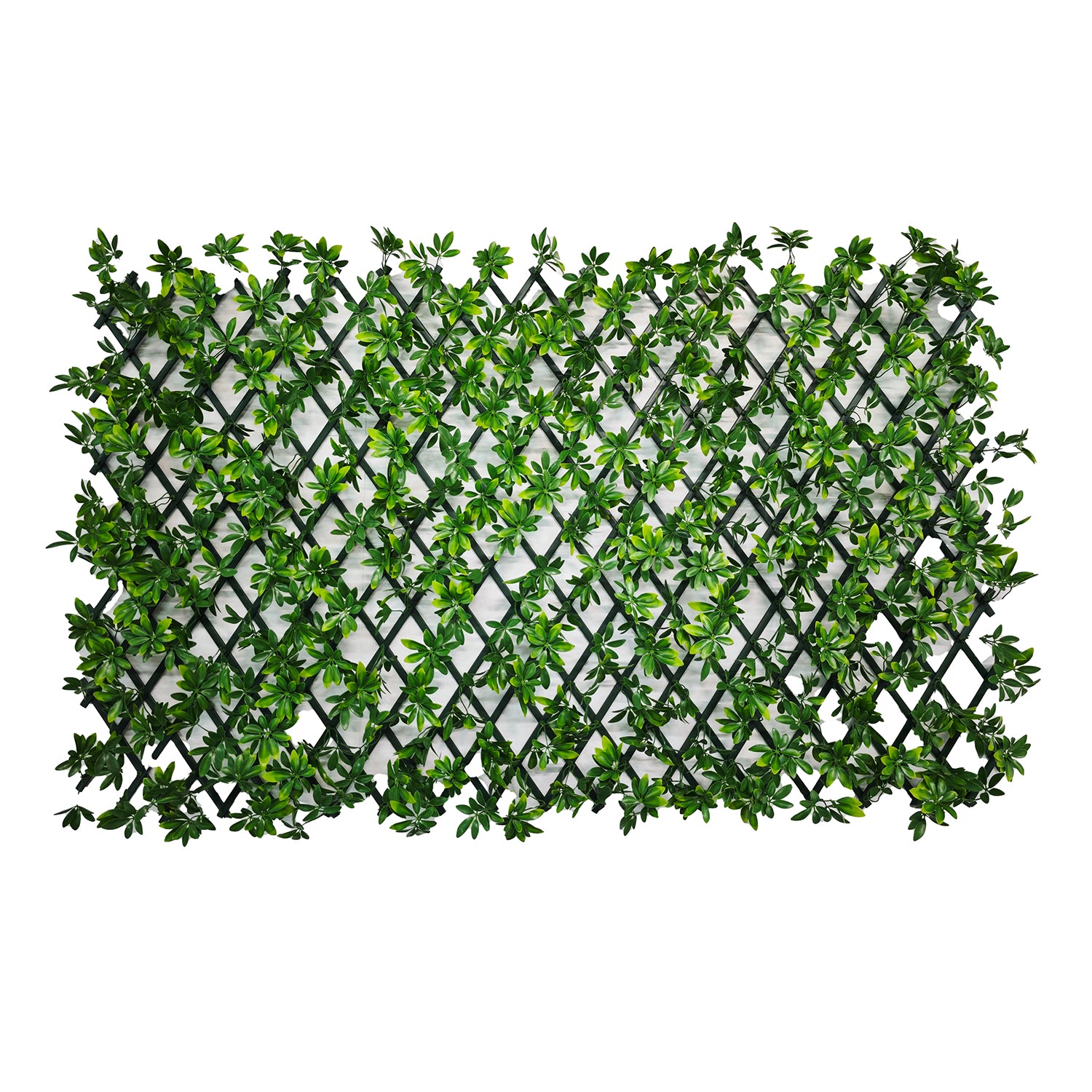 863028-01.jpg VESTIAMO CASA GIARDINO - Siepe Artificiale Estensibile con foglie di Schefflera Verde h28x280 cm - immagine 1