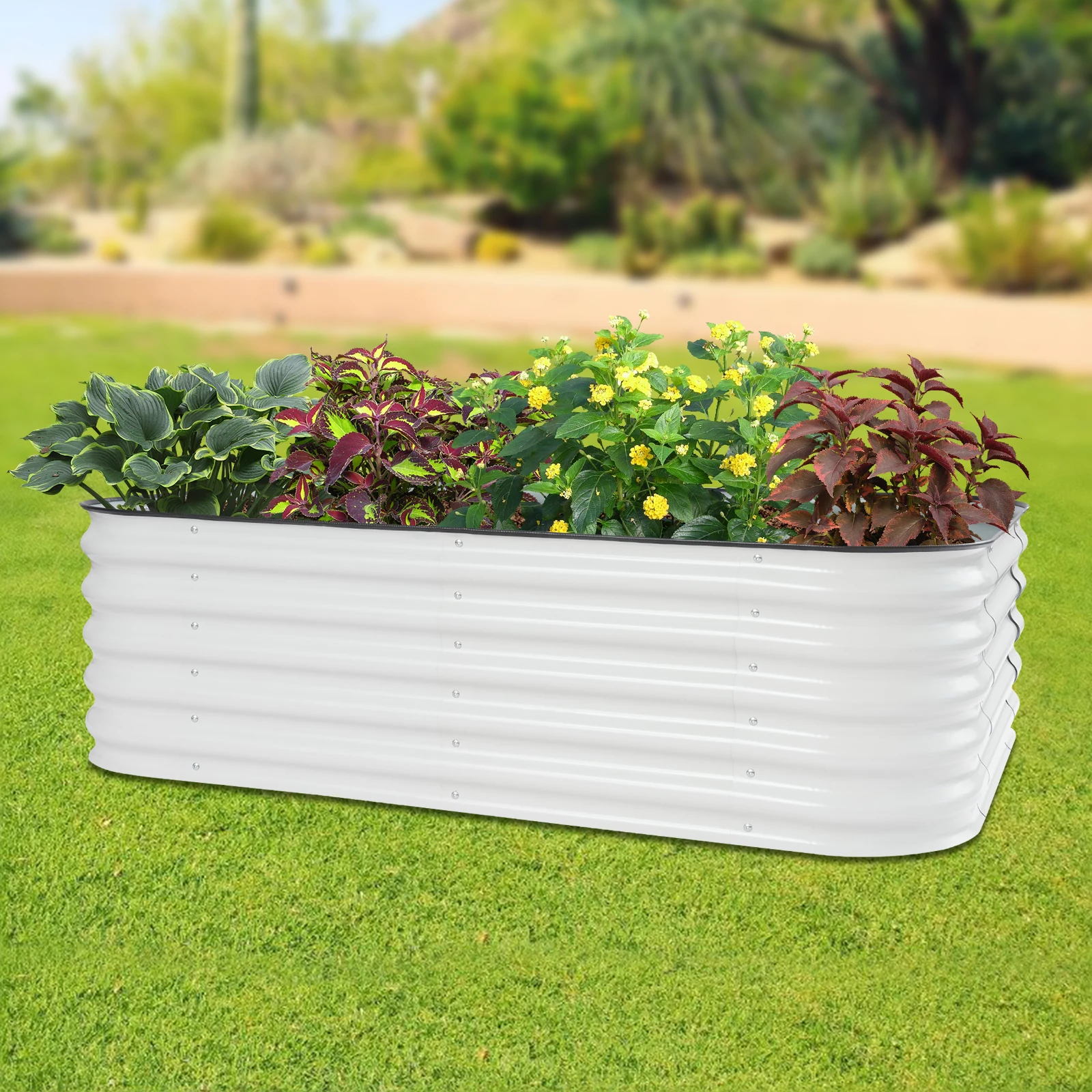 Sc874cb6007a046899aa3c8548d5788f1l.webp Letto da giardino rialzato in acciaio zincato 195x60x43 cm Grande fioriera ovale Facile montaggio Stile moderno Bianco Grigio chiaro per esterni