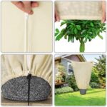 Set di 3 coperture fitosanitarie Beige 2x2,4m - immagine 2