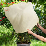 Telo protettivo per piante beige 2x2,4m - immagine 4